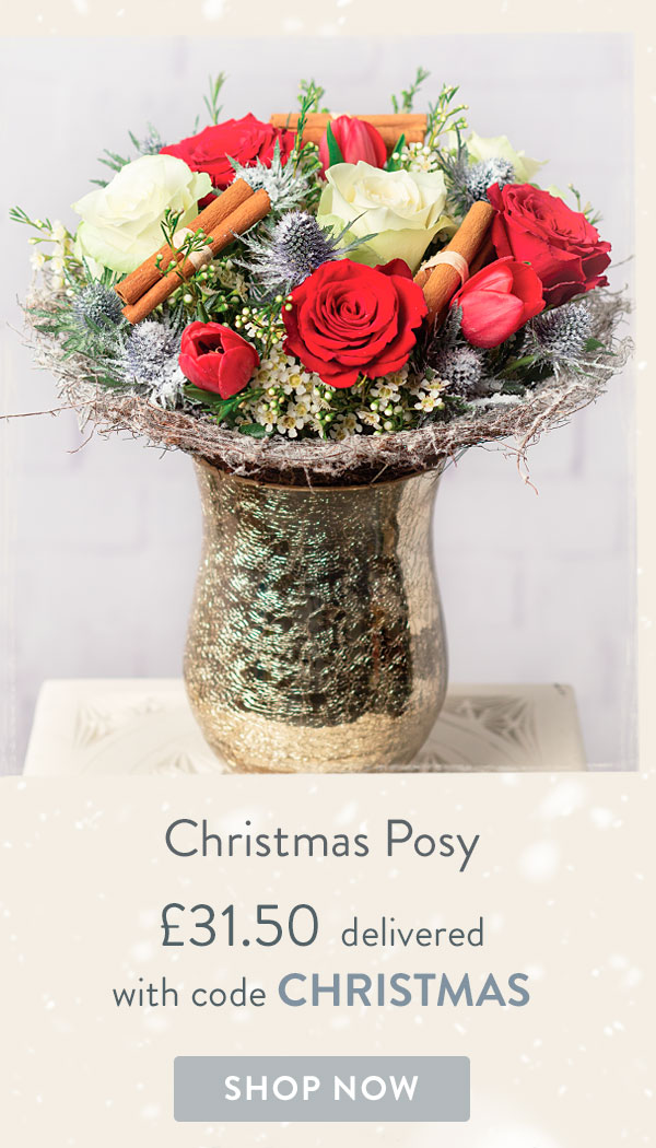 Christmas Posy - Only &pound;31.50 delivered