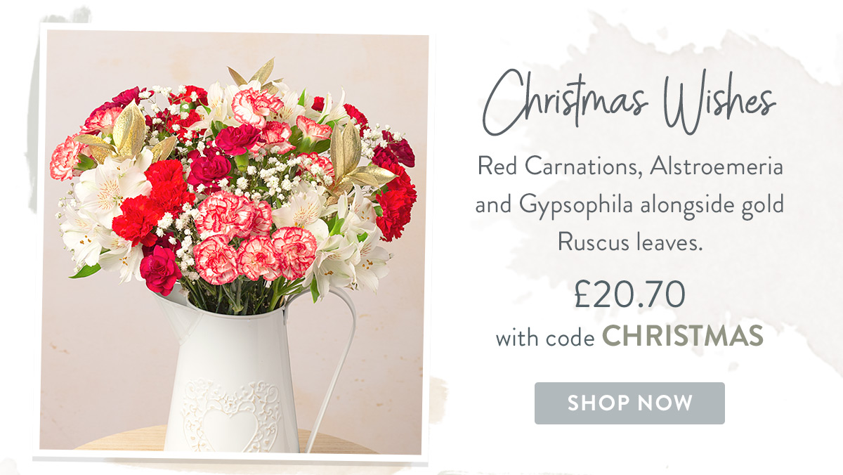 Christmas Wishes - only &pound;20.70 with promo code