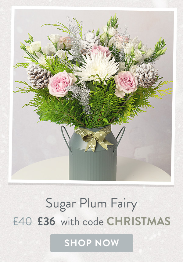 Sugar Plum Fairy - Only &pound;36 delivered with code