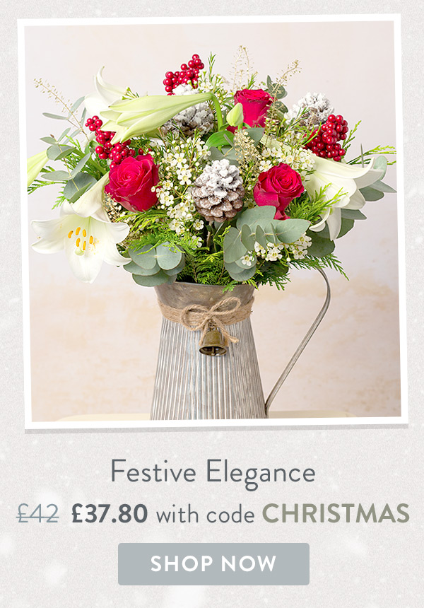 Festive Elegance - Only &pound;37.80 delivered with code