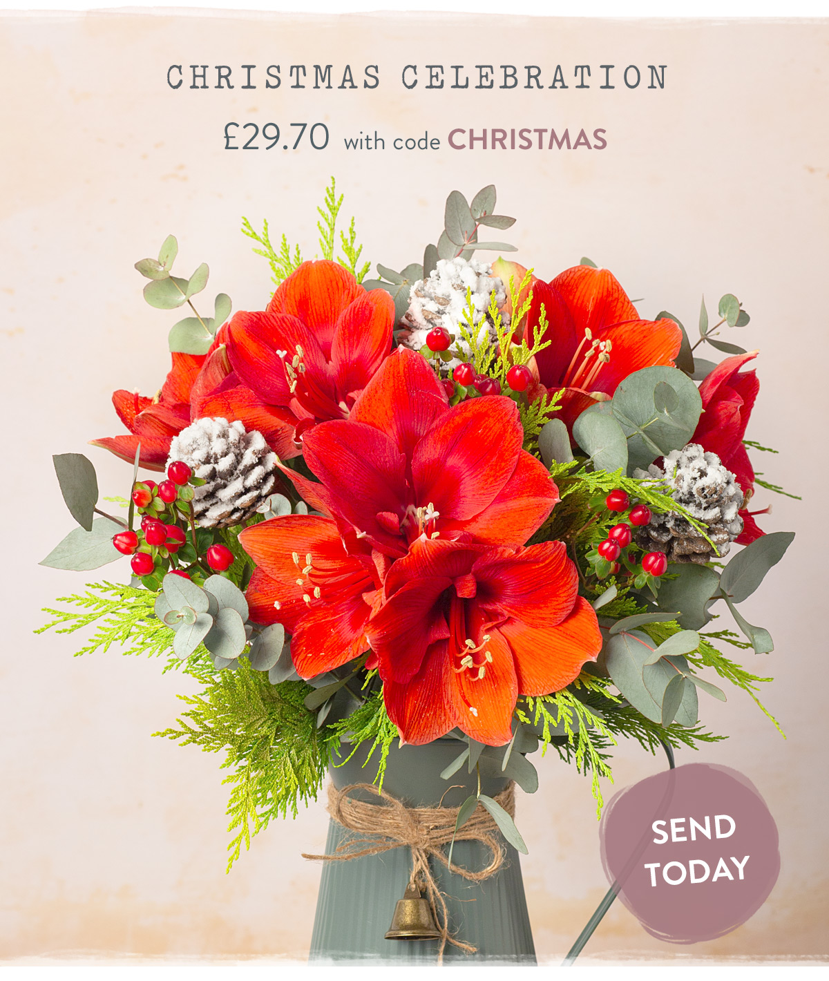 Christmas Celebration - only &pound;29.70 with promo code