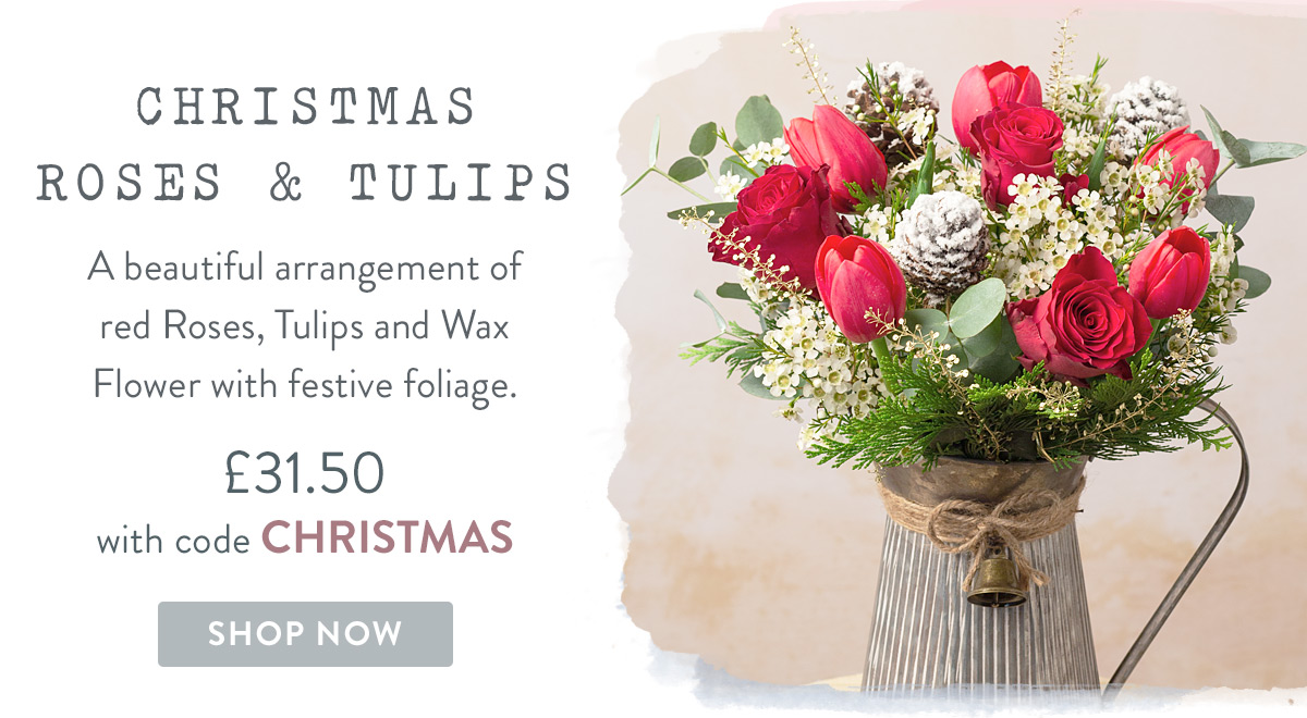 Christmas Roses &mp; Tulips - only &pound;31.50 with promo code