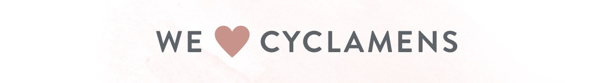 We Love Cyclamens