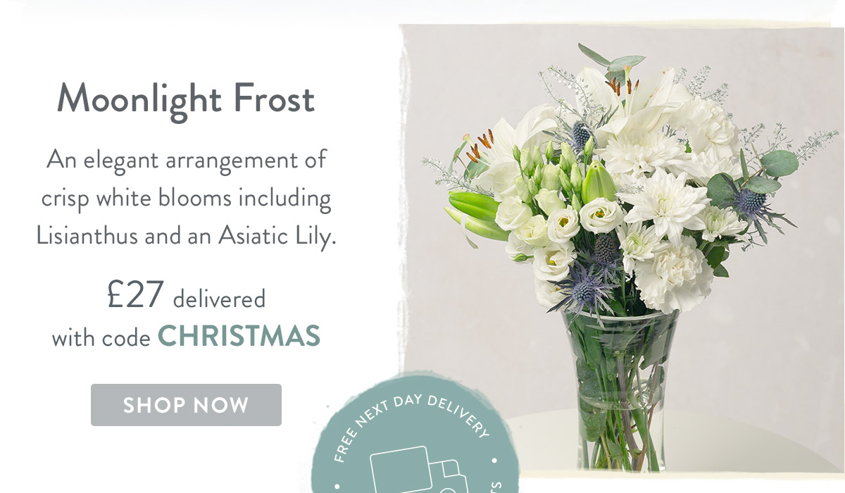 Moonlight Frost - only &pound;27 delivered