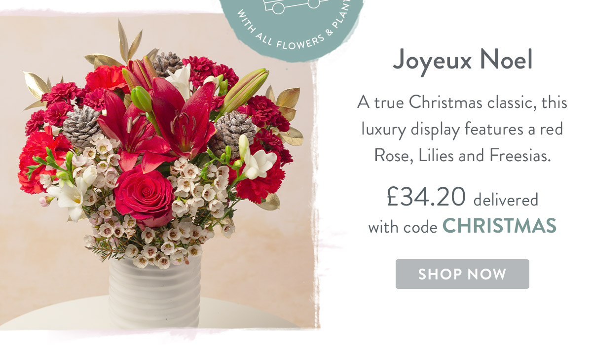 Joyeux Noel - only &pound;34.20 delivered
