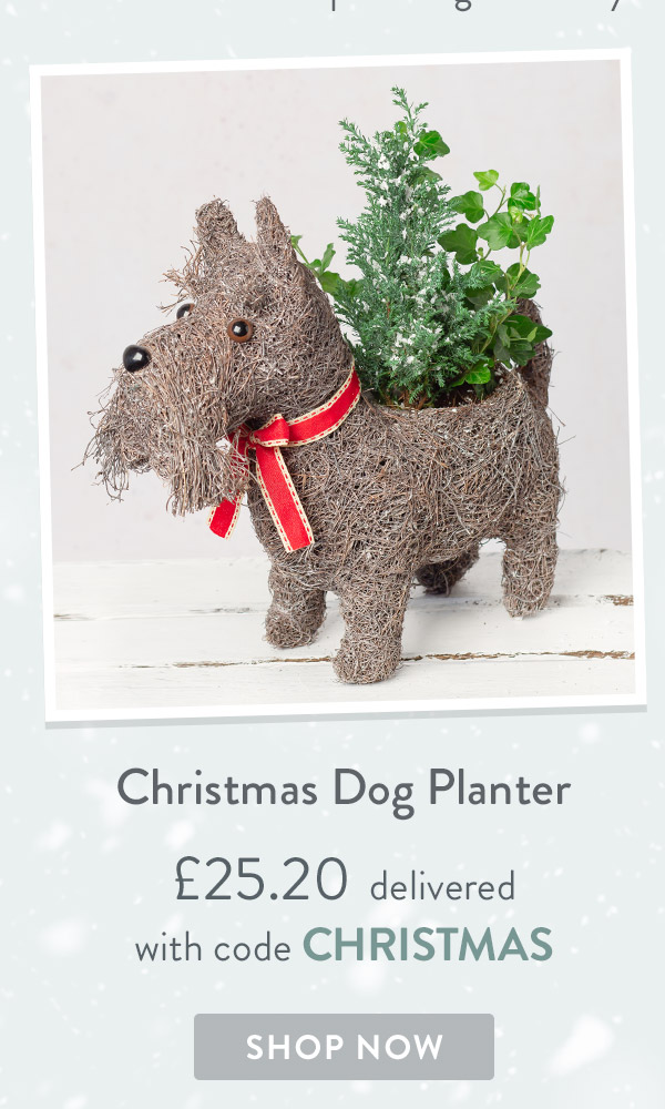 Christmas Dog Planter - only &pound;25.20 delivered