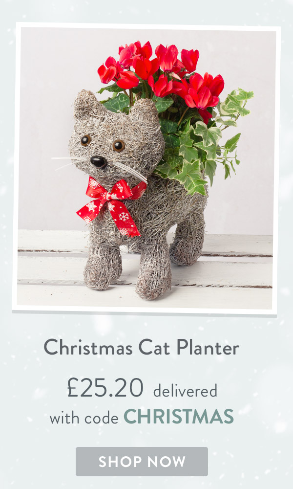 Christmas Cat Planter - only &pound;25.20 delivered