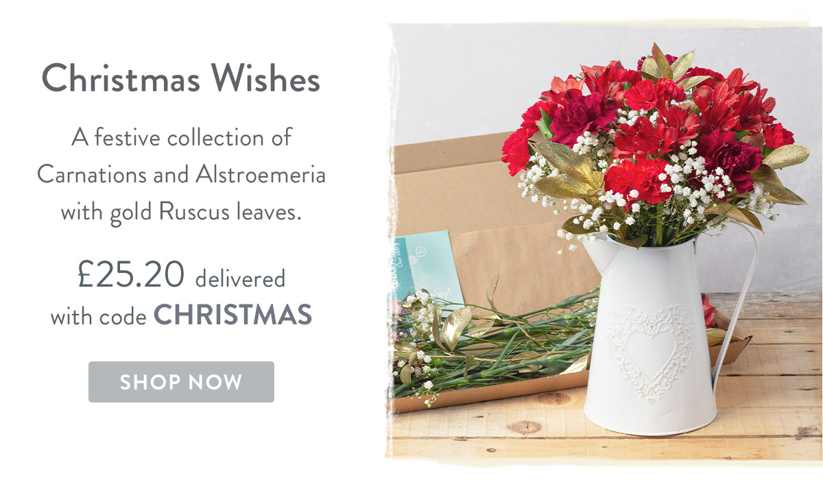 Christmas Wishes Letterbox - only &pound;25.20 delivered