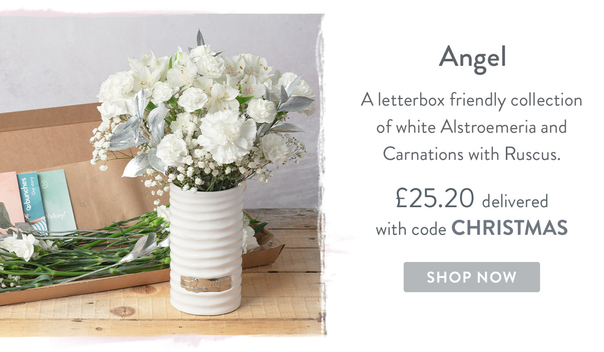 Angel - only &pound;25.20 delivered
