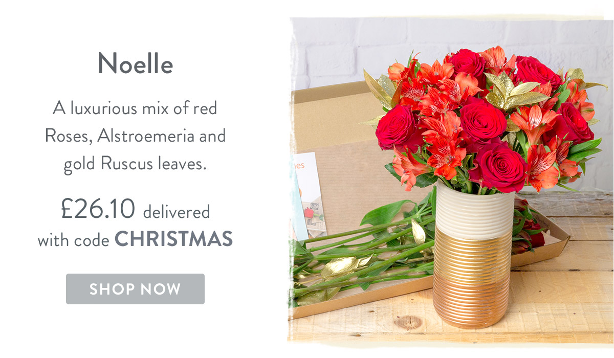Noelle - only &pound;26.10 delivered