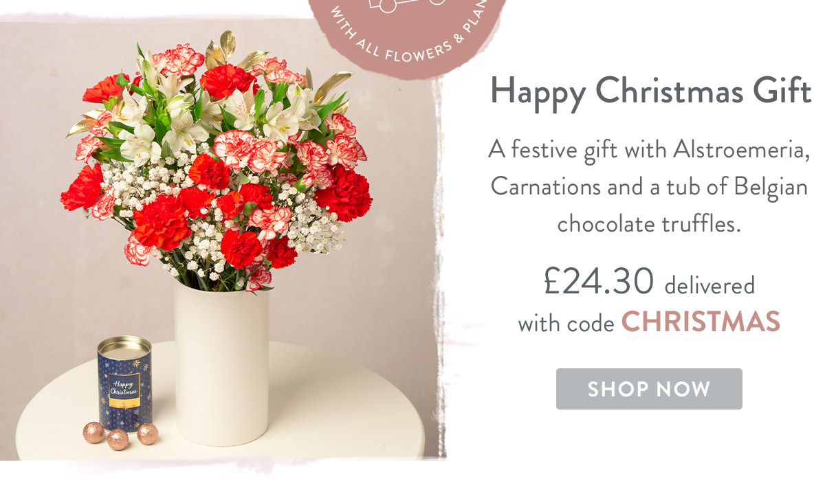 Happy Christmas Gift - only &pound;24.30 delivered