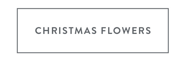 Christmas Flowers