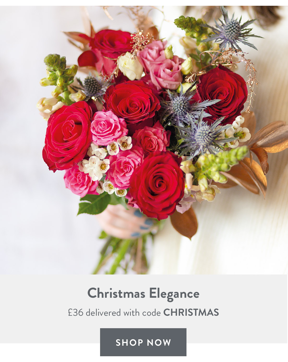 Christmas Elegance - only &pound;36 delivered