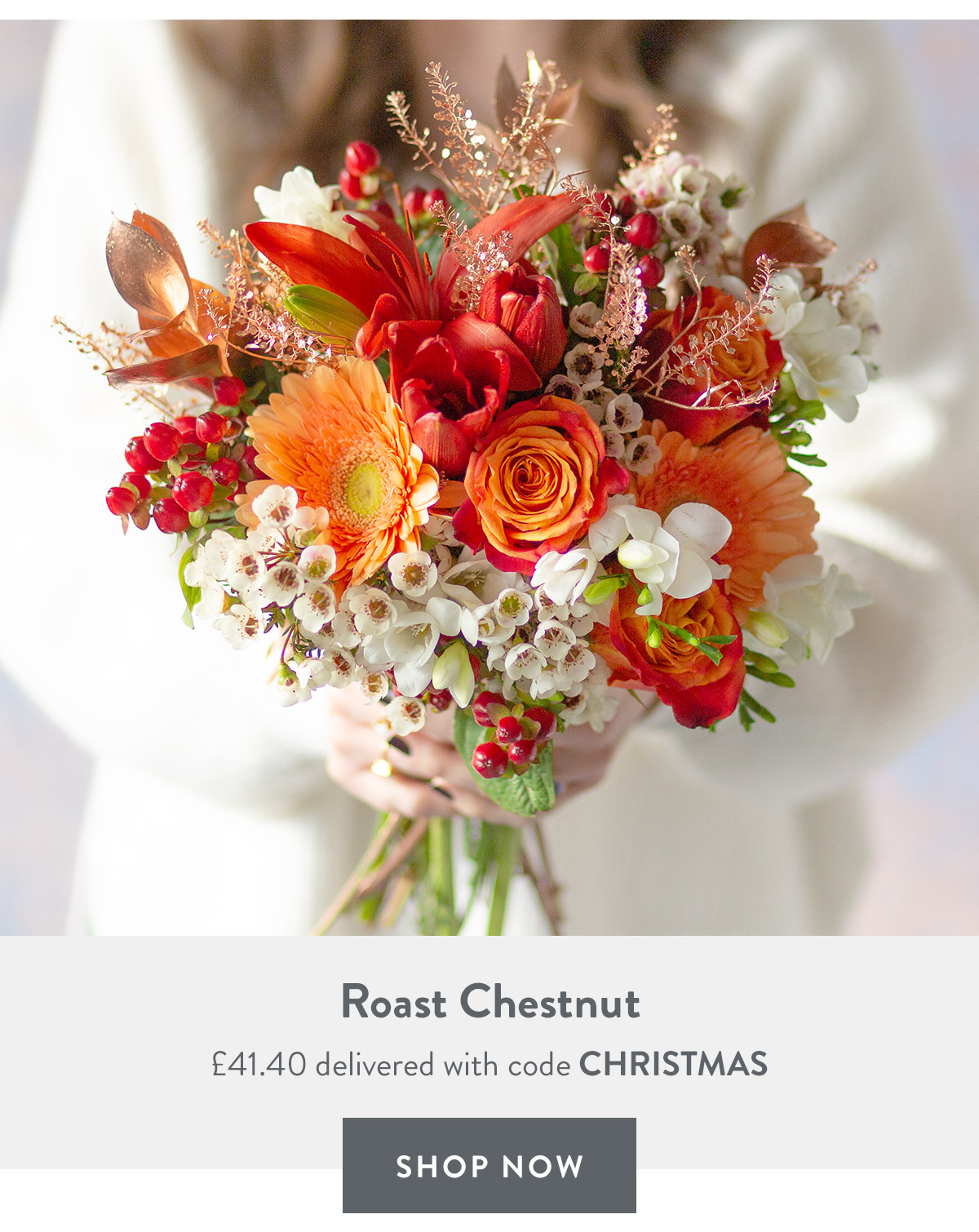 Roast Chestnut - only &pound;41.40 delivered