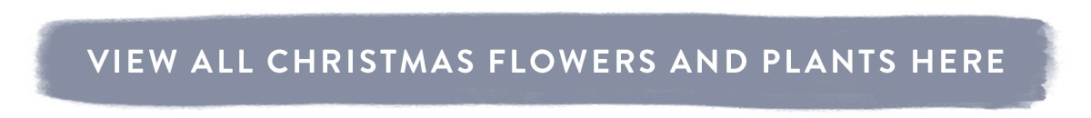 Click here to view all Christmas Plants