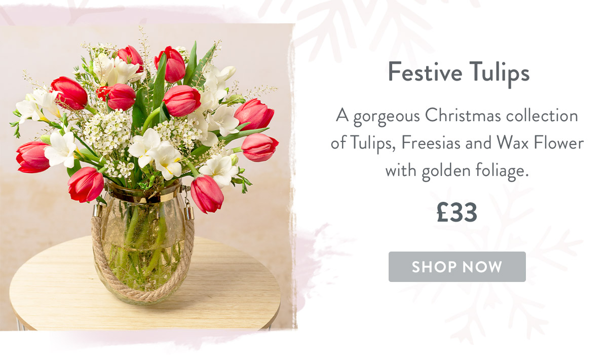 Festive Tulips - &pound;33
