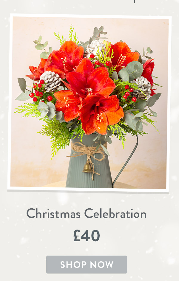 Christmas Celebration - &pound;40
