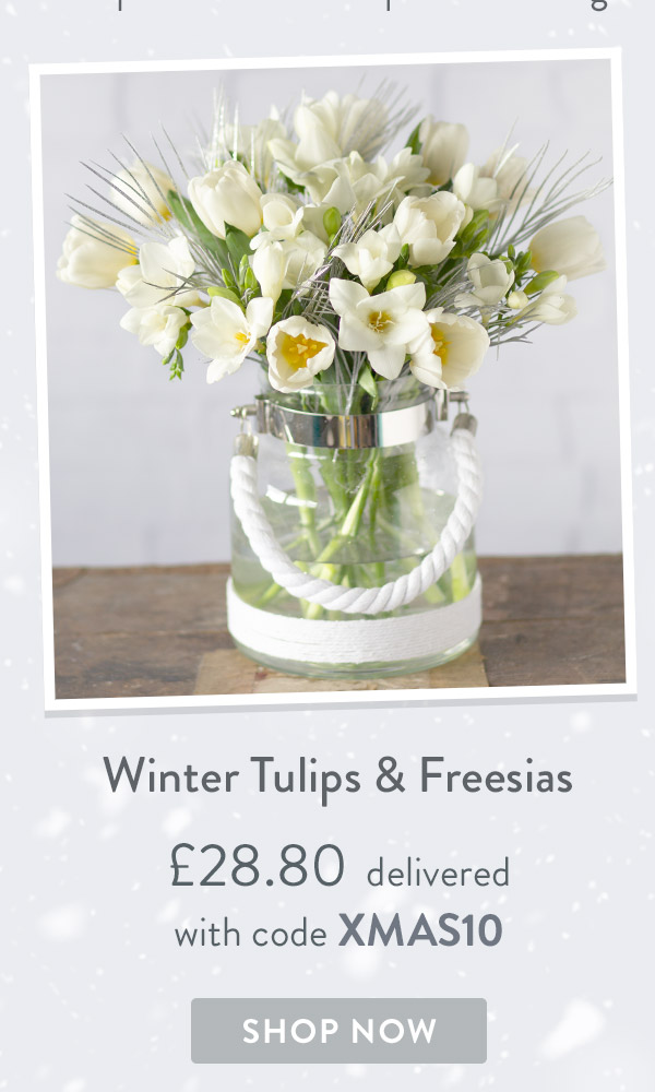 Winter Tulips & Freesias - only &pound;28.80