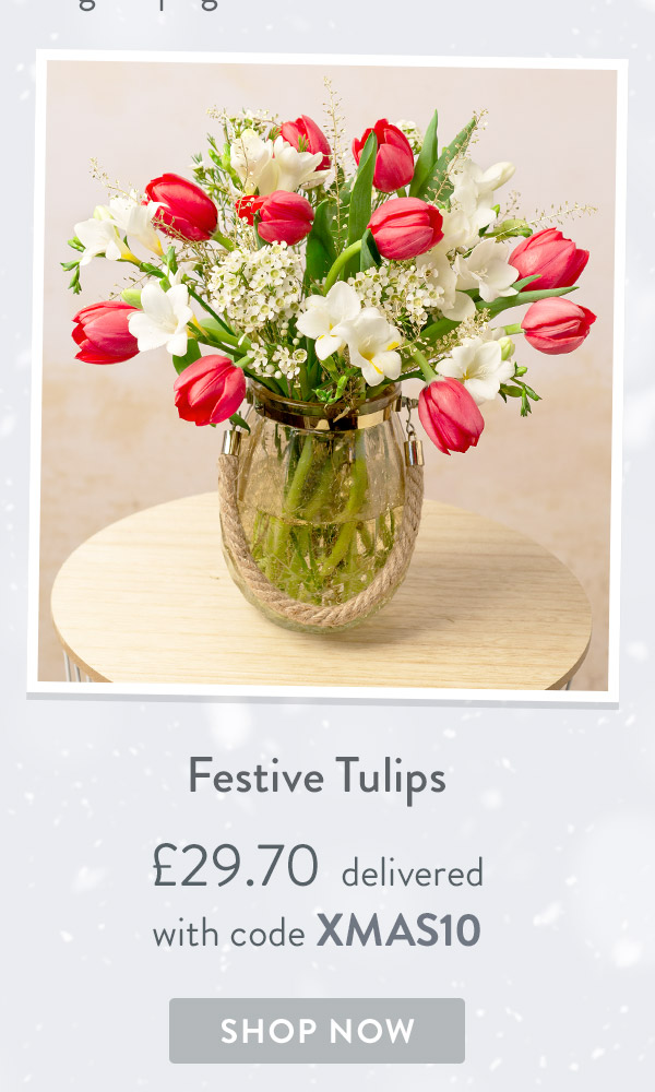 Festive Tulips - only &pound;29.70