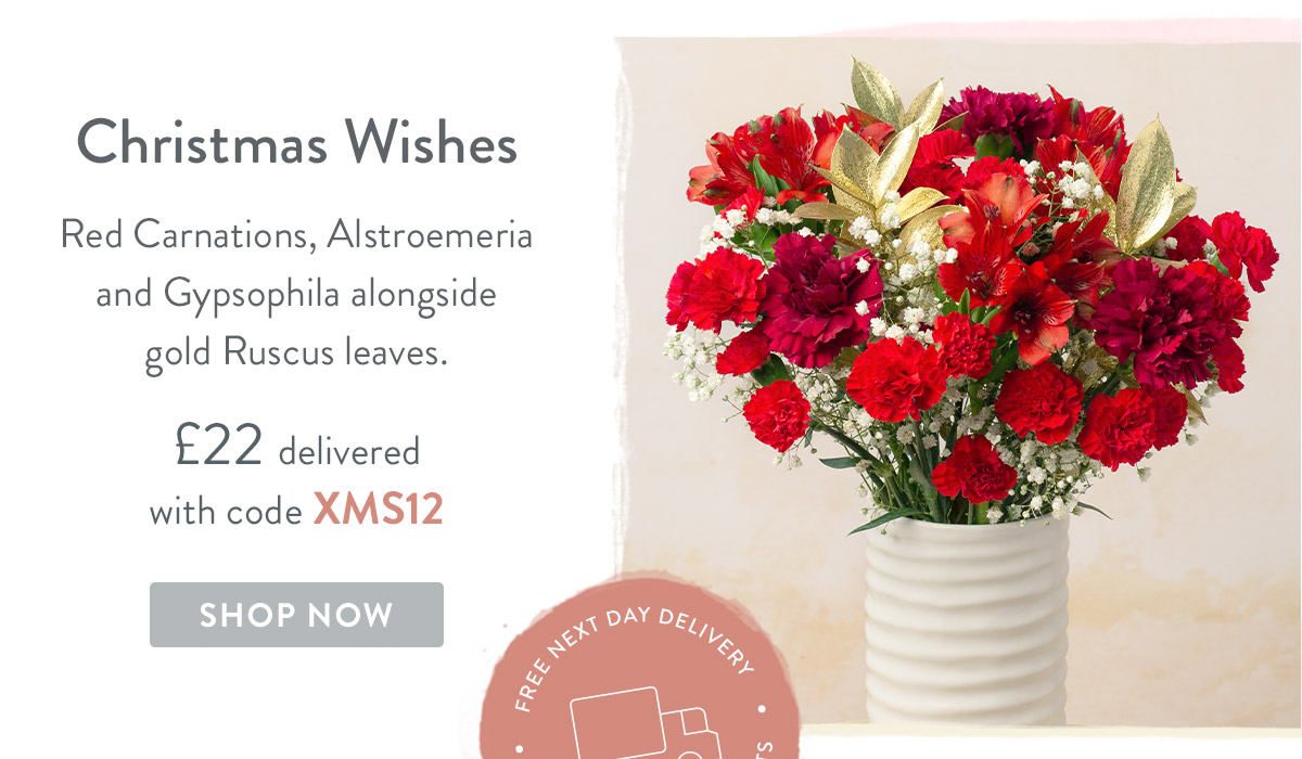 Christmas Wishes - only &pound;22 delivered
