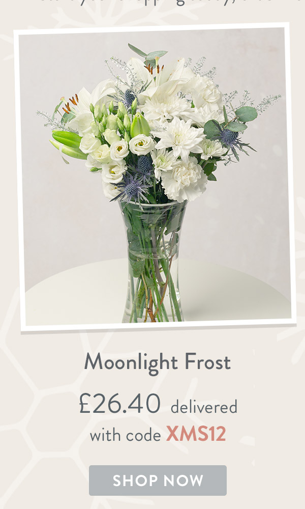 Moonlight Frost - only &pound;26.40