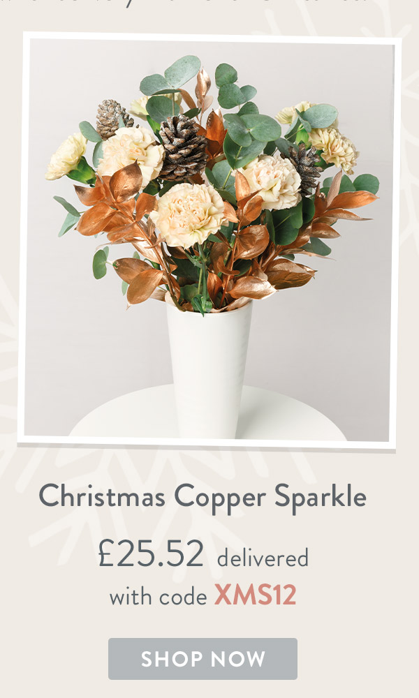 Christmas Copper Sparkle - only &pound;25.52
