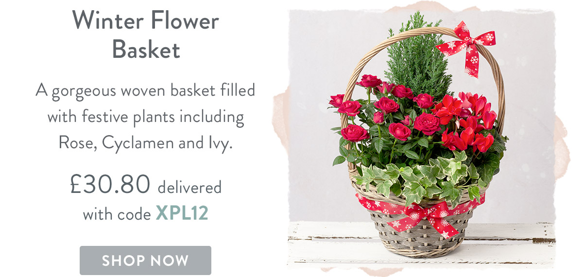 Cheese & Winter Flower Basket - only &pound;30.80