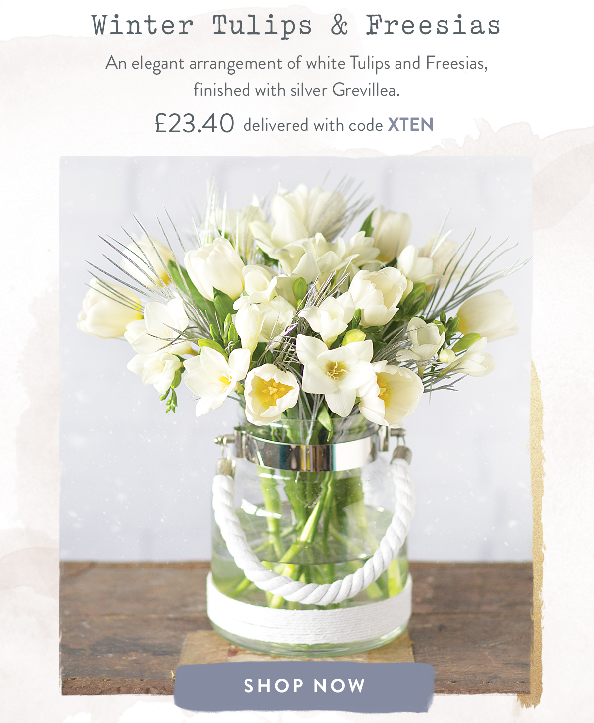 Winter Tulips & Freesias - &pound;23.40