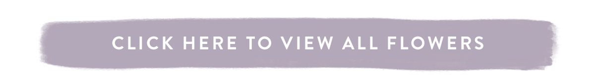 View all flowers delivered here