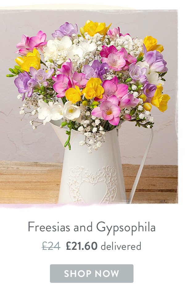 Freesias and Gypsophila - Only &pound;21.60 delivered