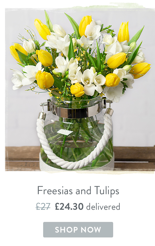 Freesias and Tulips - Only &pound;24.30 delivered