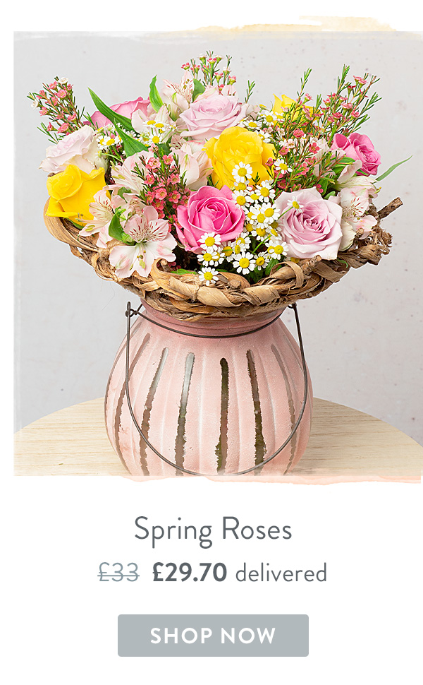 Spring Roses - Only &pound;29.70 delivered