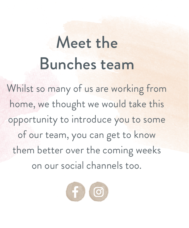 Meet the Bunches team