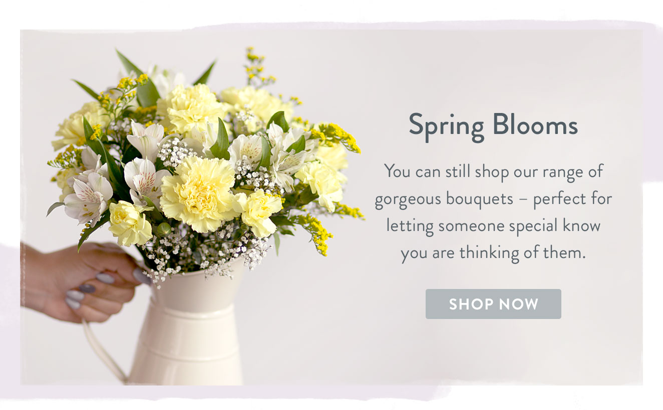 Spring blooms