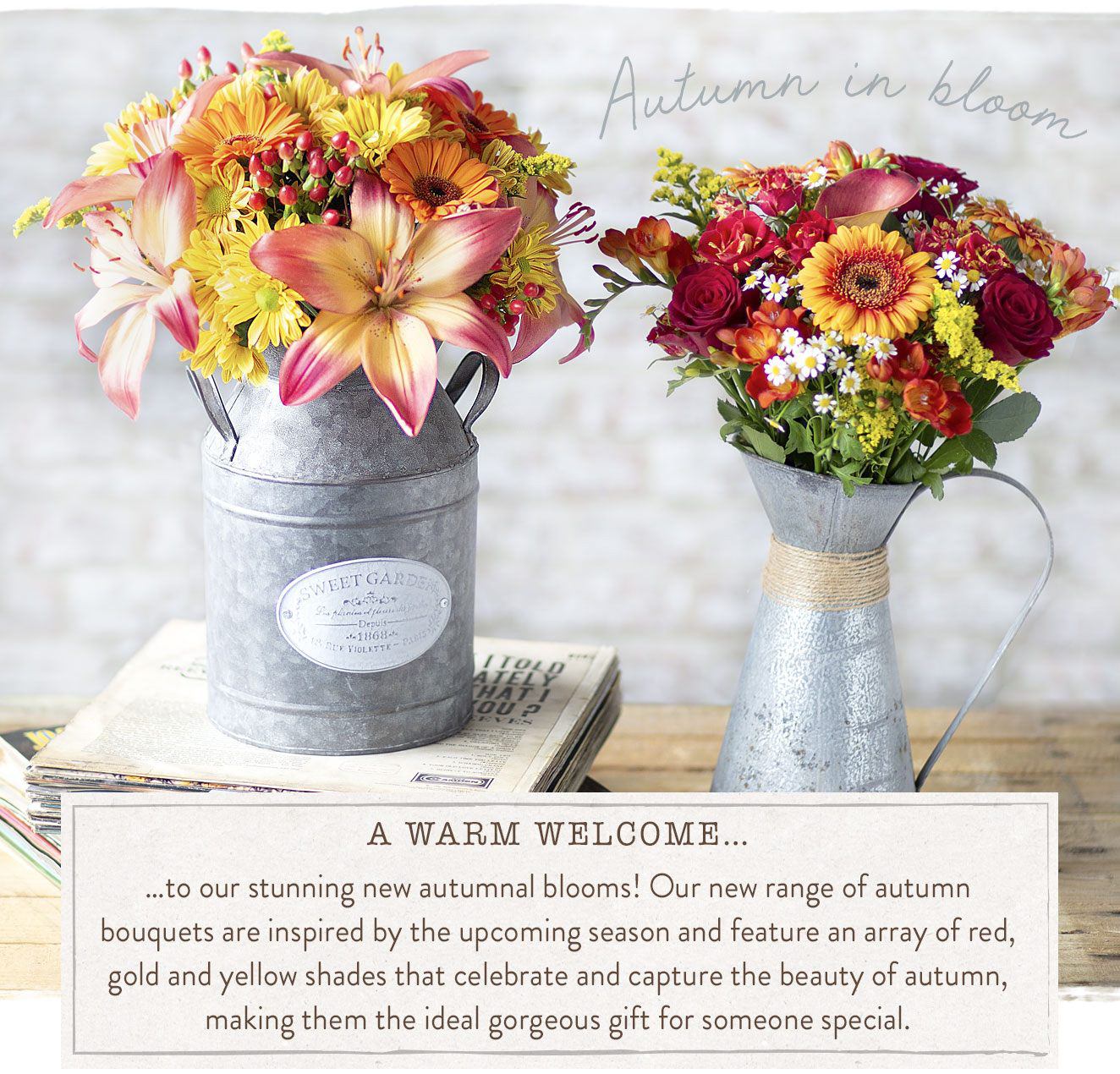 Discover our Autumn Range