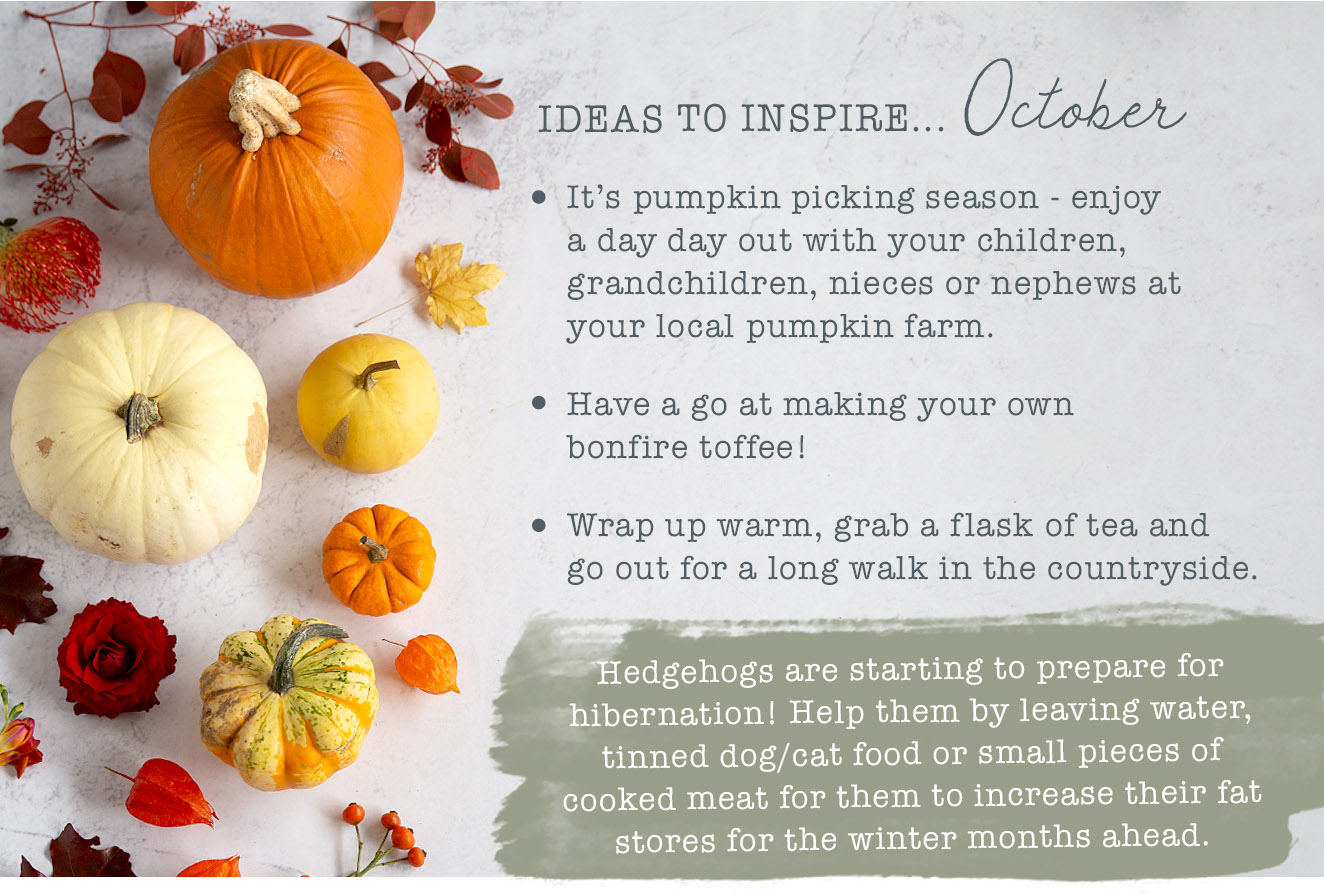 Ideas to inspire October...