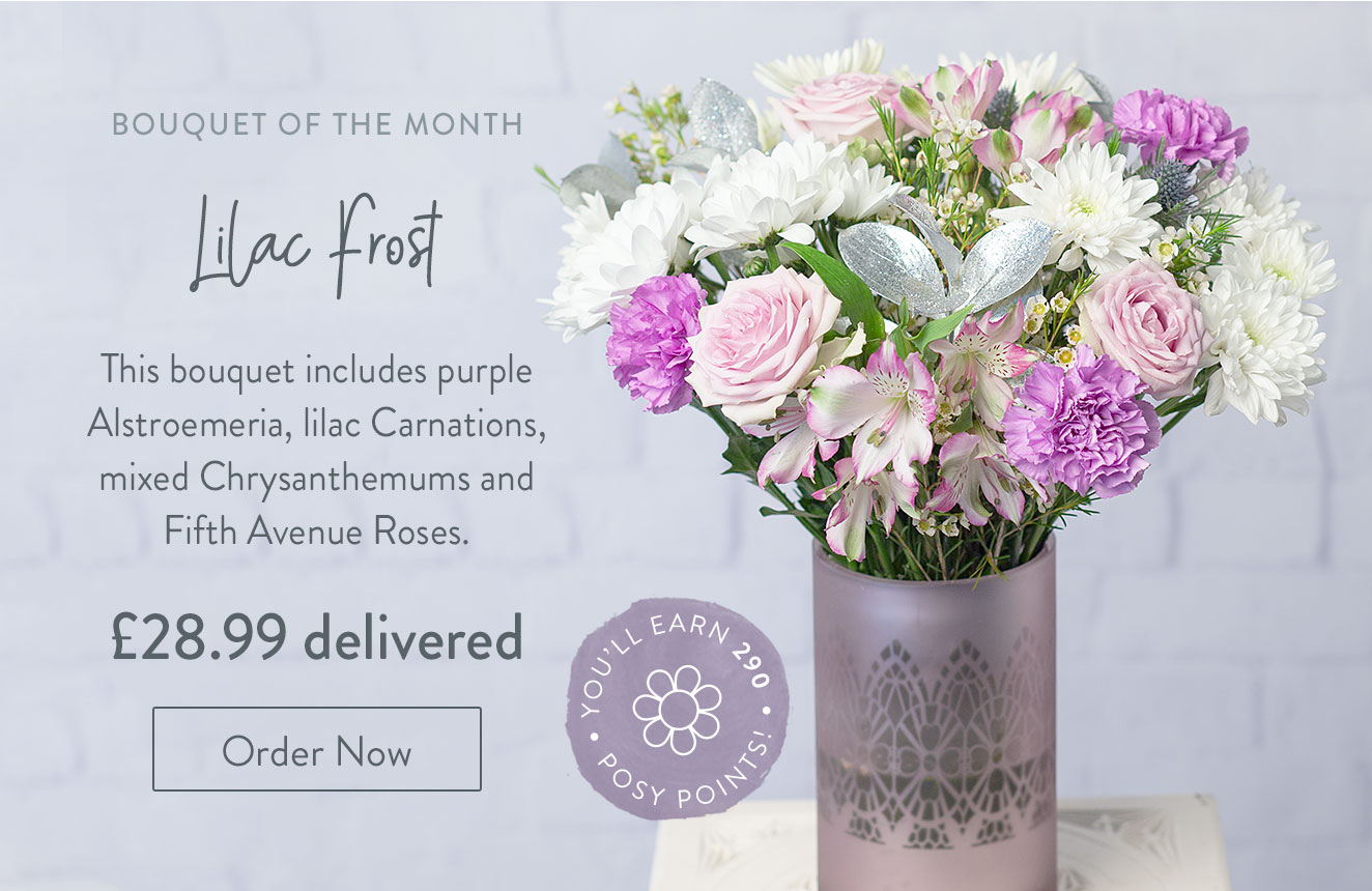 Lilac Frost - Only &pound;28.99 delivered
