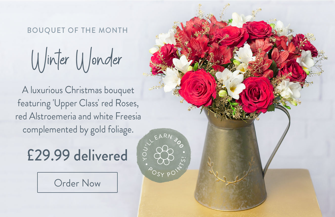 Winter Wonder - Only &pound;29.99 delivered