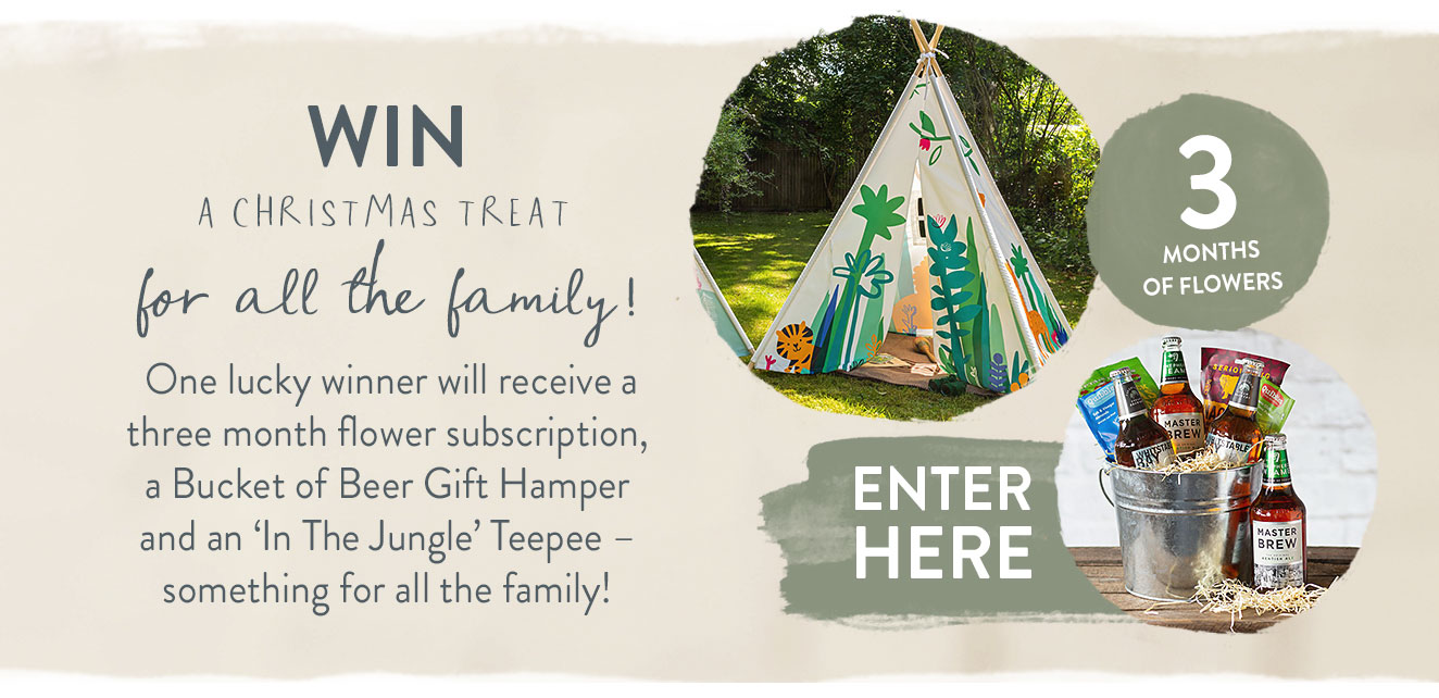 Win a Christmas Treat for all the family! 
