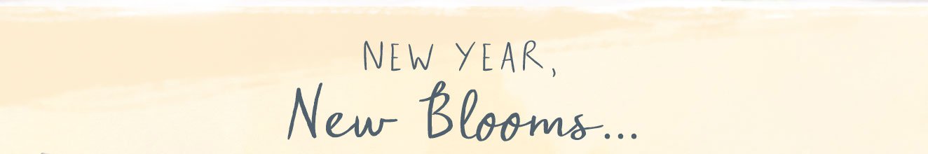 New Year, New Blooms