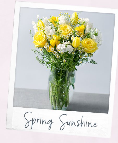 Spring Sunshine