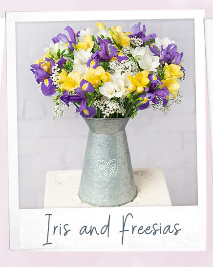 Iris and Freesias