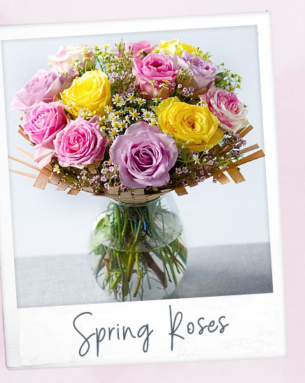 Spring Roses