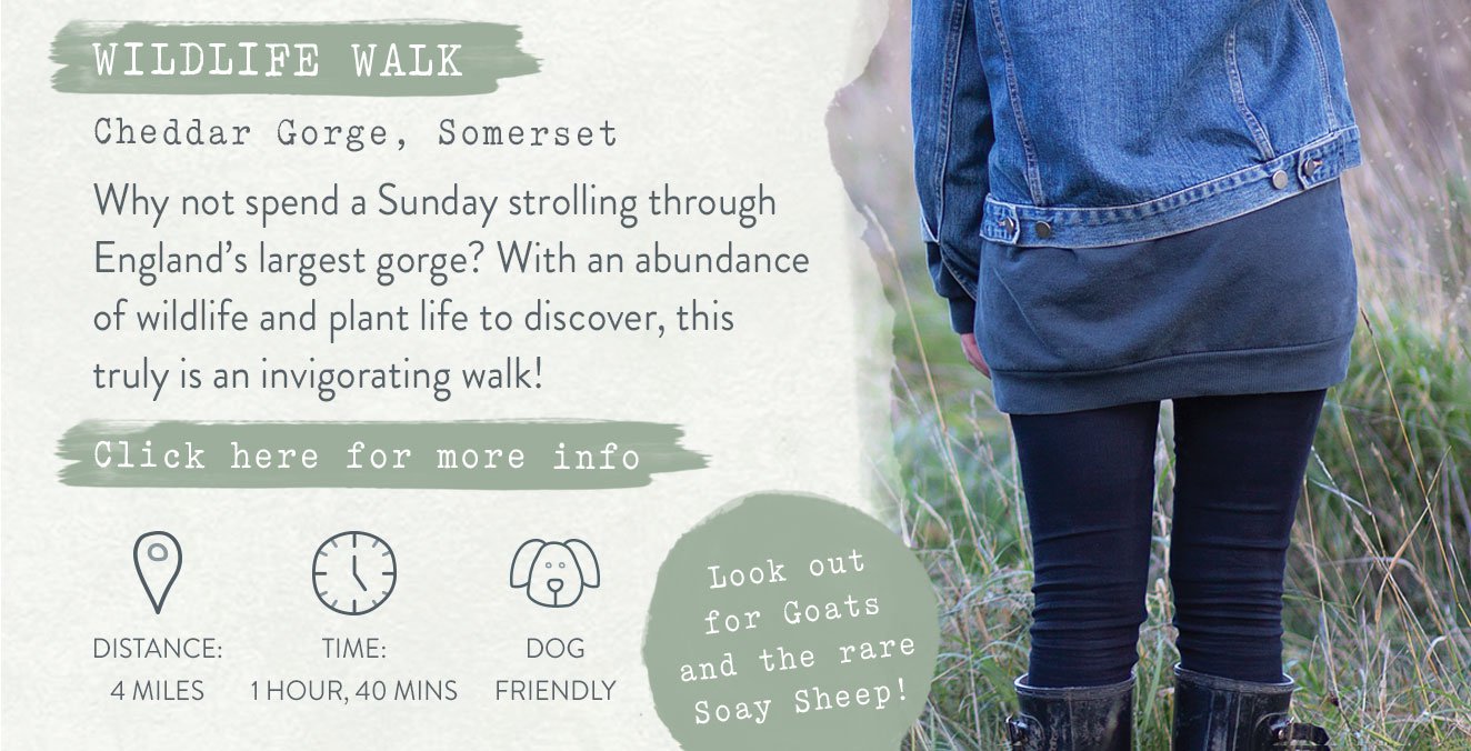 Wildlife Walk