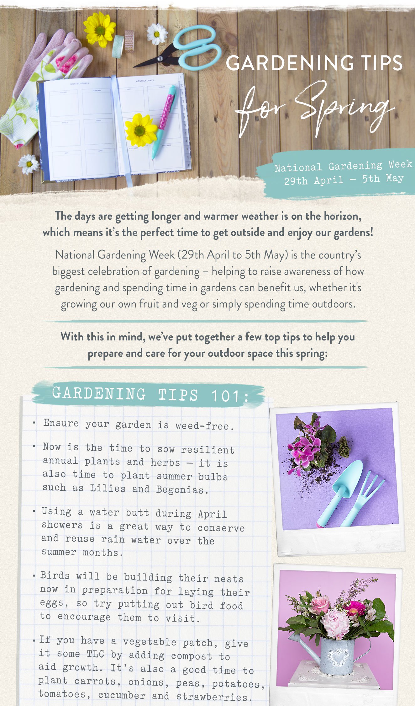 Gardening tips for Spring