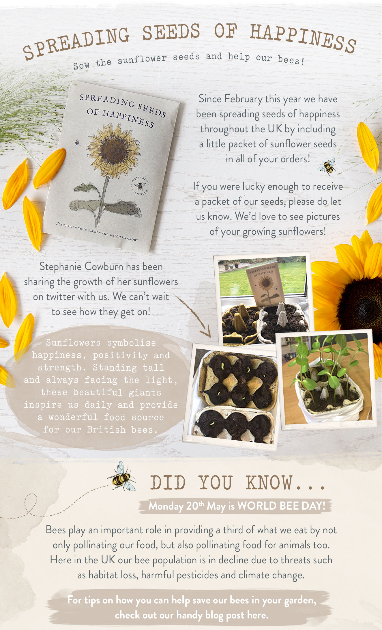 Gardening tips for Spring