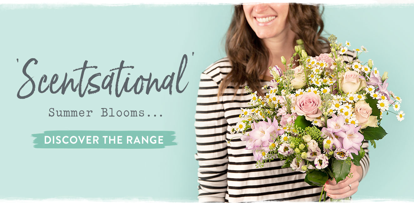 Scentational Summer Blooms - Discover the range