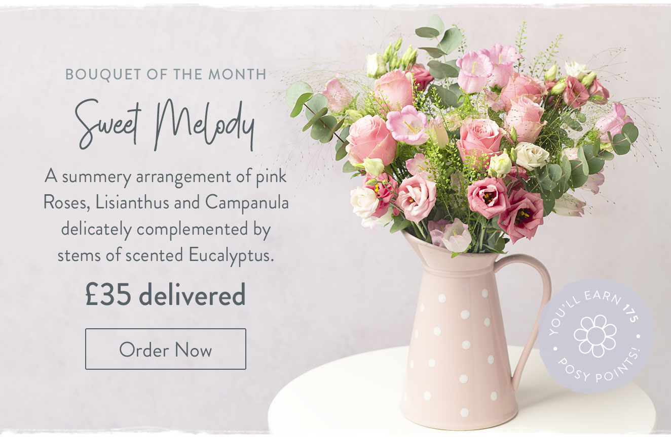 Sweet Melody - Only &pound;34 delivered