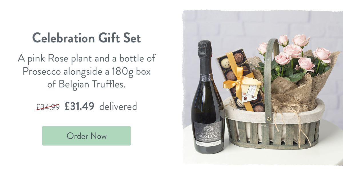 Celebration Gift Set - Only &pound;31.49