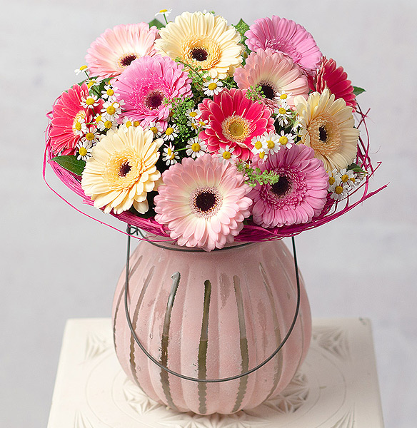 Daisy Dream - Only &pound;28.99